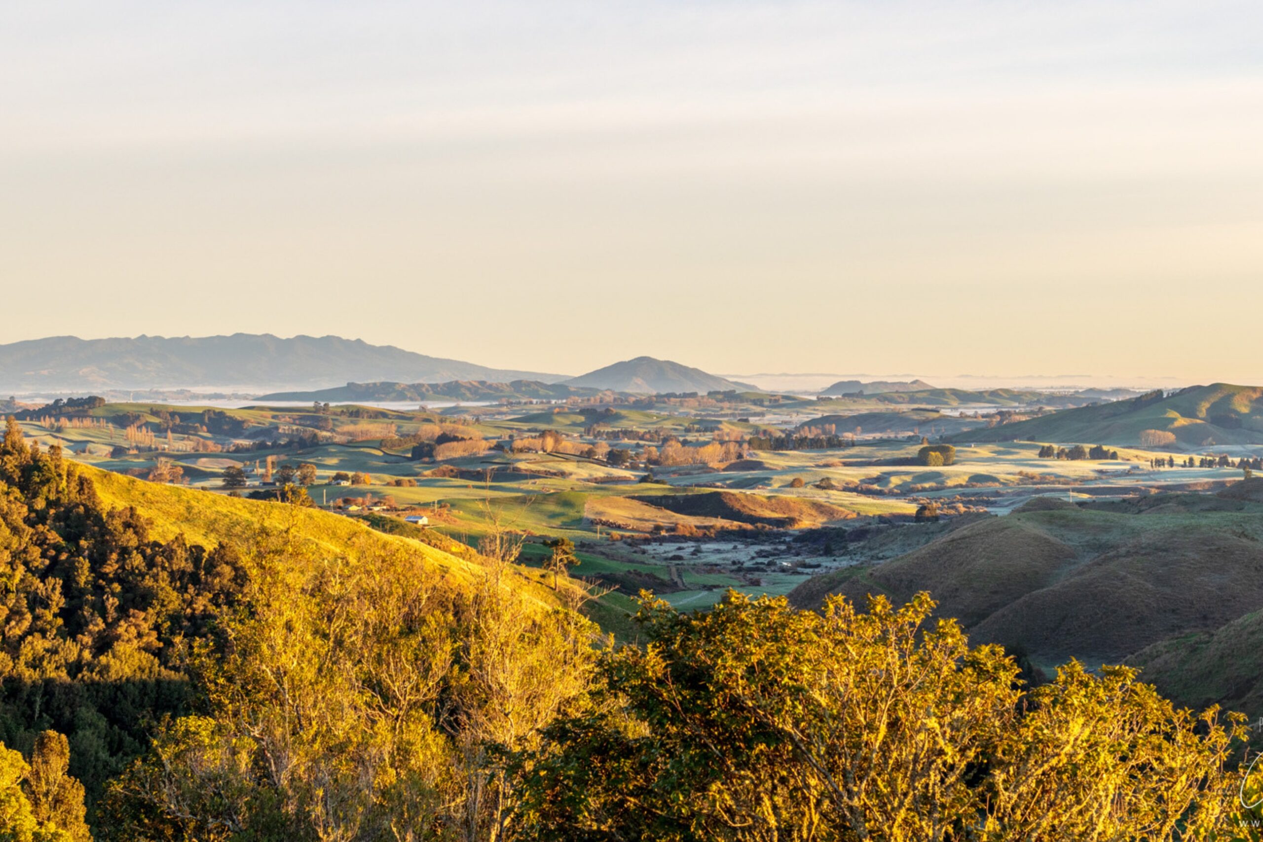 Otorohanga DC Hero Image